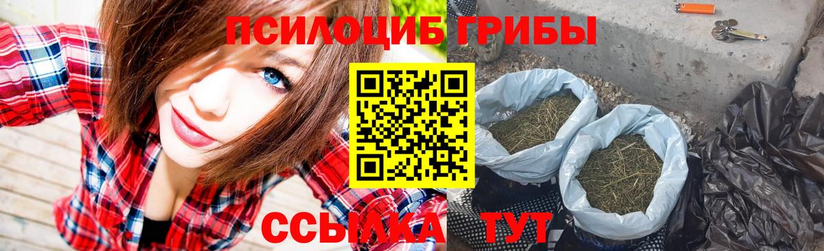 Галлюциногенные грибы ЛСД Ефремов
