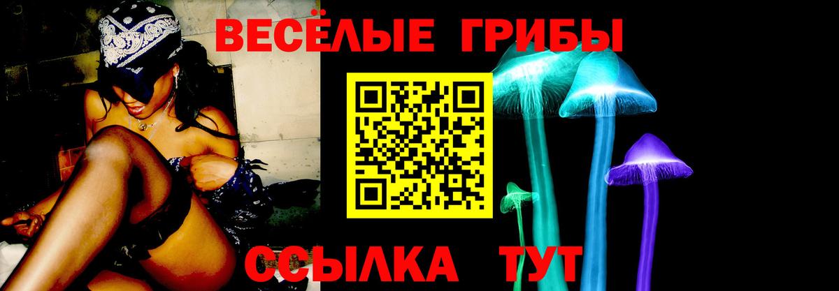 Ефремов  Галлюциногенные грибы Cubensis  Вход с VPN 